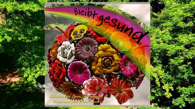 21. Mai 2020. I. Balkon Konzert. Wilhelm Uden mit der Drehorgel.