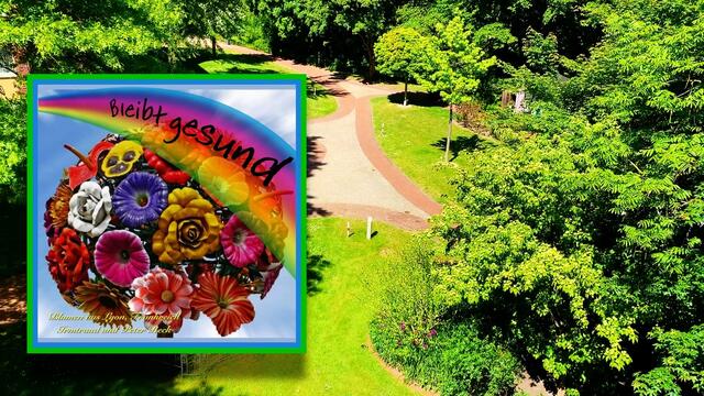 21. Mai 2020. II. Balkon Konzert. Wilhelm Uden mit der Drehorgel.