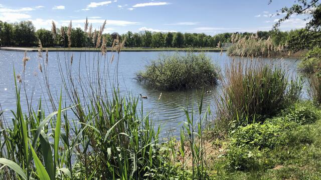 Vom Bertha-Klingberg-Platz bietet sich die schöne Aussicht auf den Burgsee, eine Bucht des Schweriner Sees. Foto: Helmut Kuzina