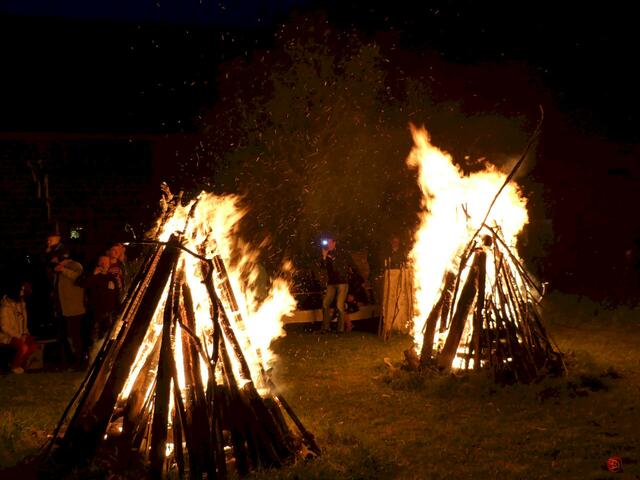 Pferd flieht aus dem Feuer