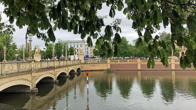 In der Nähe des Schlossbrücke zieht ein Blesshuhnpaar seine Küken auf. Foto: Helmut Kuzina
