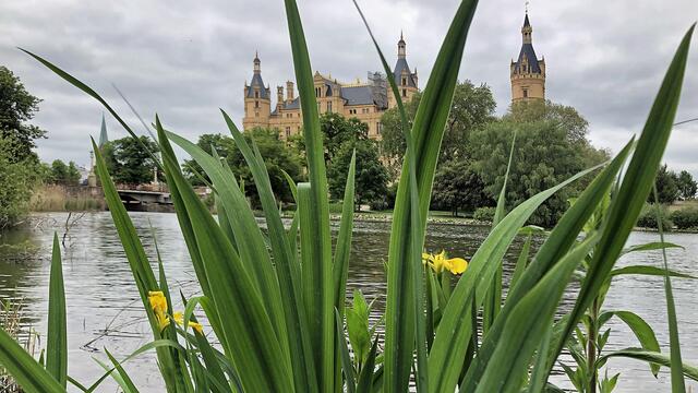 Die Südbucht des Schweriner Sees ist ein Revier der Haubentaucher. Foto: Helmut Kuzina