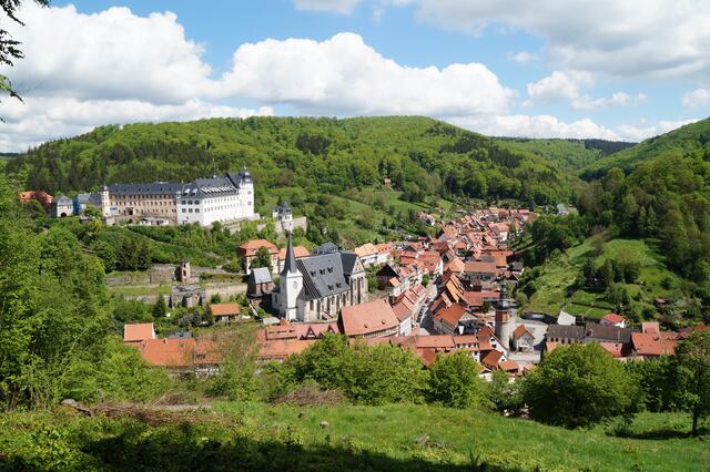 Blick von der Lutherbuche auf Stolberg