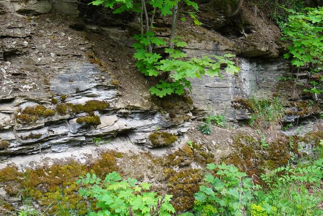 Schiefergestein an der alten Chaussee