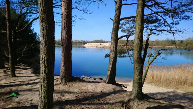 Blick auf den Meitzer See vom Wanderweg her.