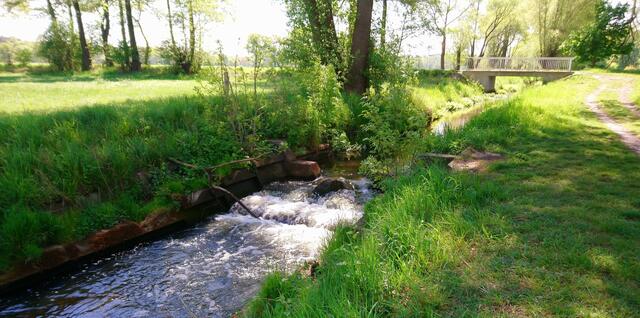 Wanderweg in Gailhof