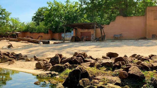 3. Juni 2020. Erlebnis-Zoo Hannover. Fahrt auf dem Sambesi. Bleibt gesund!