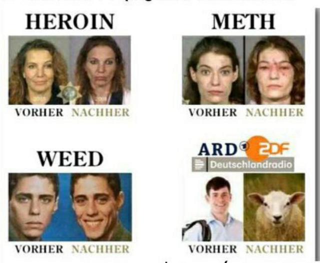 Wohin Drogen, Alkohol und der Konsum falscher Medien führen , sieht man immer wieder. Schlafschafe laufen wie die Lemminge  direkt in den Abgrund.