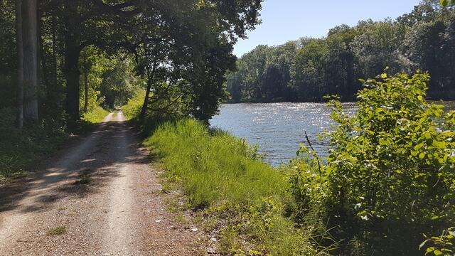 Der Wind treibt die Donau aufwärts