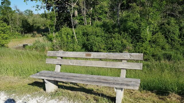 Ruhebank entlang der Route an der Donau. Hier biegt der DonAuwaldweg wieder in den Wald ab