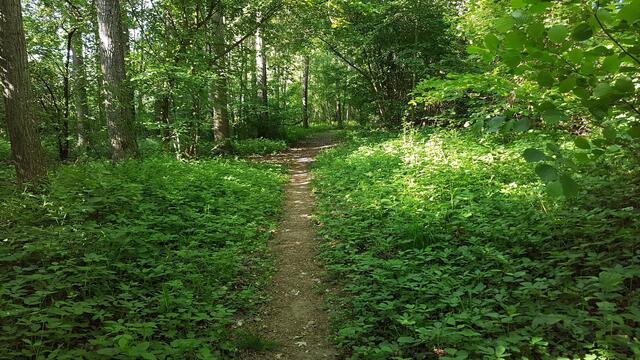 Ich liebe diese Pfade