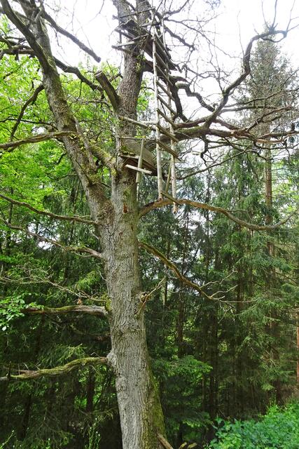 etwas Mut gehörte zur Benutzung  des Hochstandes dazu