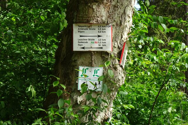 im Wippertal gibt es einen Lutherweg