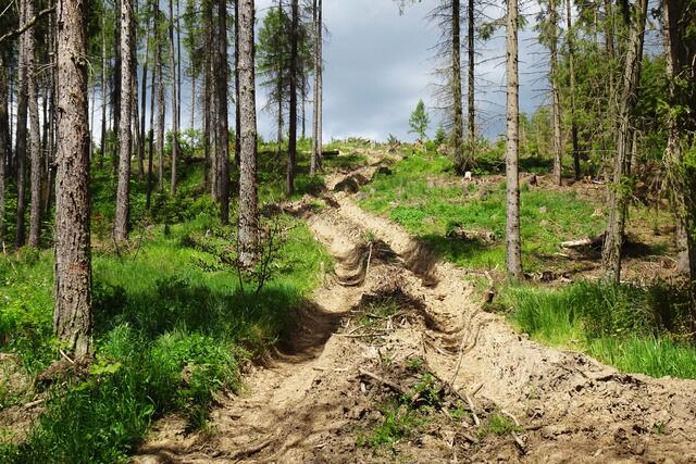 auch das war einmal ein Wanderweg