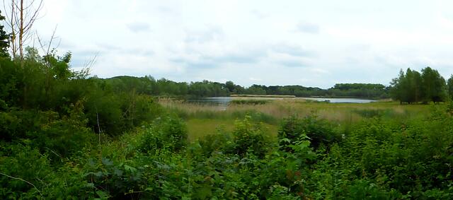 Blick von der Warte auf den Steinfeldsee