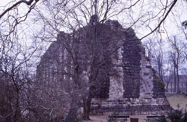 Ruine der Kaiserpfalz