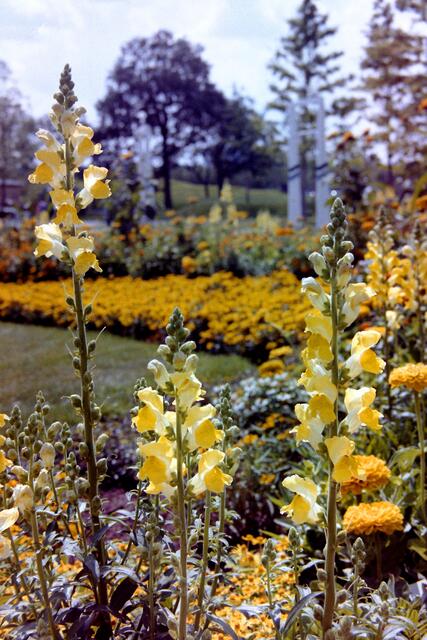 Die 2. Landesgartenschau 2004 in Wolfsburg