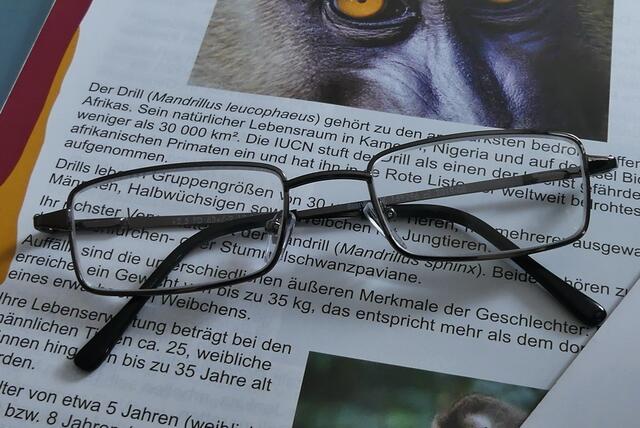 Immer dabei Lesebrille