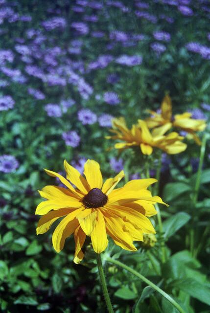 Landesgartenschau 2004 in Wolfsburg