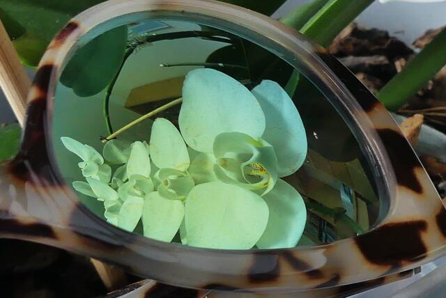 Brille als Spiegelbild