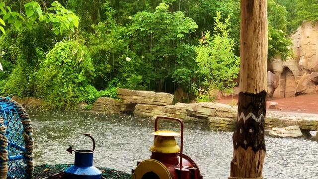 16. Juni 2020. Erlebnis-Zoo Hannover. Gewitter und Regen auf dem Sambesi. Bleibt gesund!