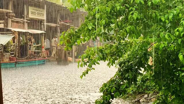 16. Juni 2020. Erlebnis-Zoo Hannover. Gewitter und Regen auf dem Sambesi. Bleibt gesund!