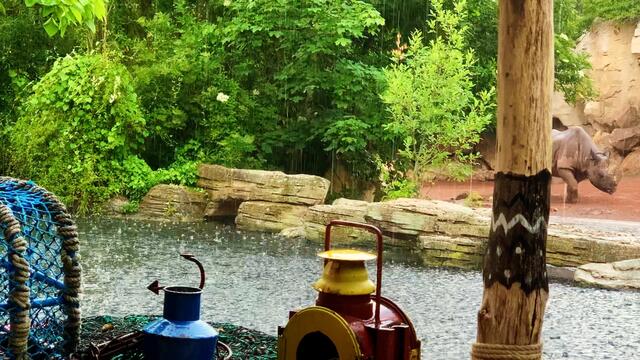 16. Juni 2020. Erlebnis-Zoo Hannover. Gewitter und Regen auf dem Sambesi. Bleibt gesund!