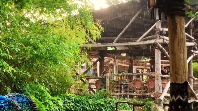 16. Juni 2020. Erlebnis-Zoo Hannover. Gewitter und Regen auf dem Sambesi. Bleibt gesund!