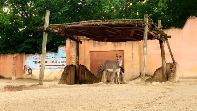16. Juni 2020. Erlebnis-Zoo Hannover. Gewitter und Regen auf dem Sambesi. Bleibt gesund!