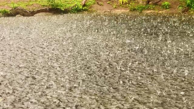 16. Juni 2020. Erlebnis-Zoo Hannover. Gewitter und Regen auf dem Sambesi. Bleibt gesund!