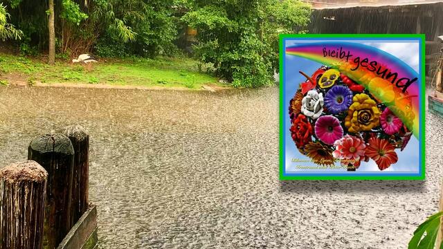 16. Juni 2020. Erlebnis-Zoo Hannover. Gewitter und Regen auf dem Sambesi. Bleibt gesund!