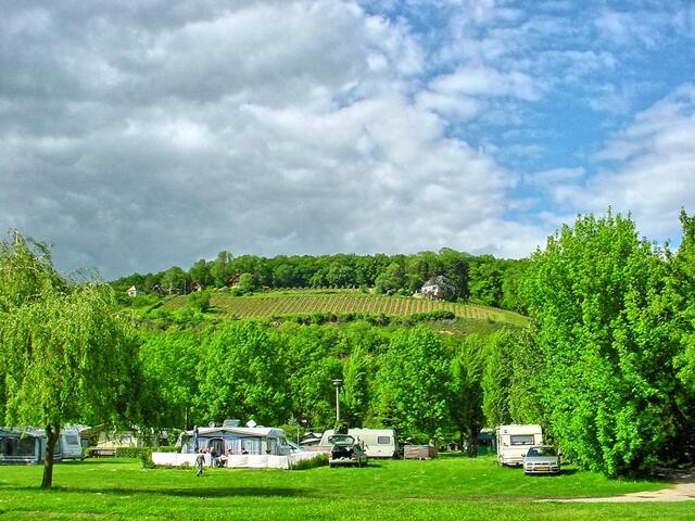 Blick vom Campingplatz auf die Weinberge