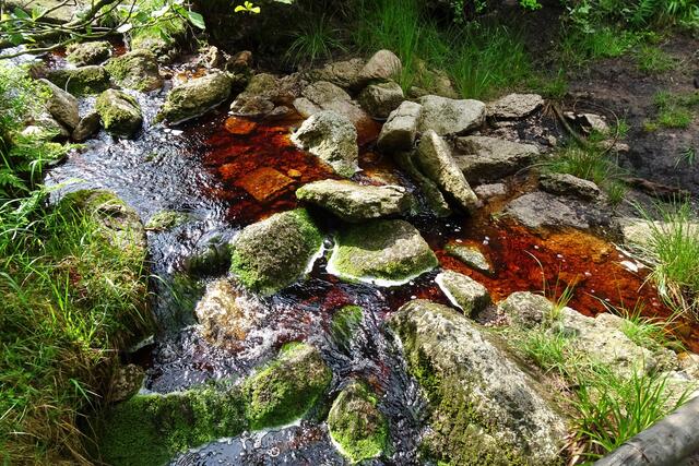 Typische Braunfärbung der Oberharzer Gebirgs - Bäche durch torfhaltiges Wasser evtl. auch Beimengen von Eisenoxyd