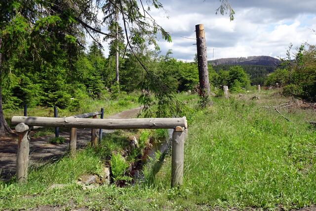 dieser Weg zu den Nabentaler Wasserfall und den Magdeburger Weg ist derzeit gesperrt