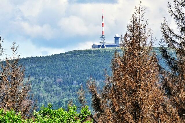 Brocken vom Parkplatz Wolfswarte an der L504 aus gesehen