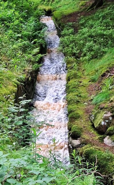 interessanter  Steilstrecke des Dammgrabens, durch eingebaute Stufen hat das gleiche Wasser eine unterschiedliche Fließgeschwindigkeit und dadurch unterschiedliche Farben