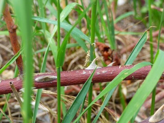 Da spielt einer Verstecken mit mir :-))))))))))))))