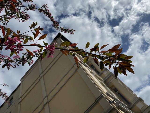 dies finde ich spannend