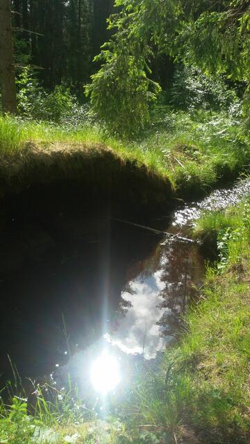 "Ich ließ meine Seele ruhig werden und still; wie ein kleines Kind bei der Mutter ist meine Seele still in mir." (aus Psam 131)