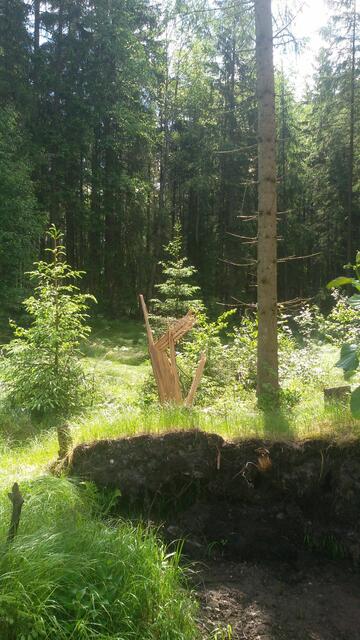 "Komm wieder zur Ruhe mein Herz! Denn der Herr hat dir Gutes getan. Ja, du hast mein Leben dem Tod entrissen, meine Tränen getrocknet..." (aus Psalm 116)