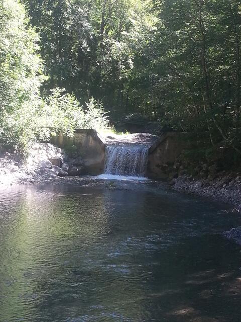 "Der Herr ist mein Hirte, nichts wird mir fehlen. Er lässt mich lagern auf grünen Auen und führt mich zum Ruheplatz am Wasser." (aus Psalm 23)