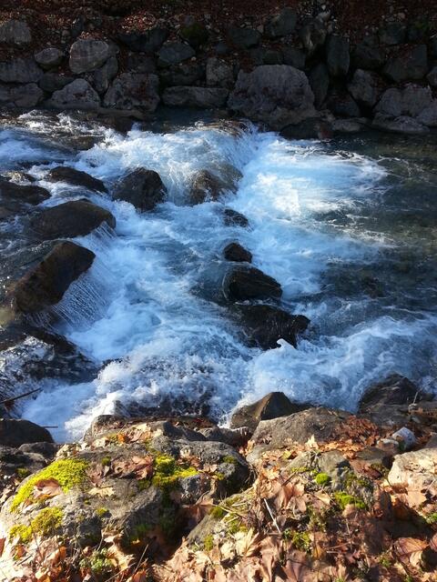 "Wie der Hirsch lechzt nach frischem Wasser, so lechzt meine Seele, Gott, nach dir." (aus Psalm 42)