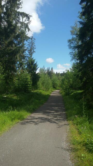 "Der Herr, dein Gott, hat dich auf dem ganzen Weg, den ihr gewandert seid, getragen, wie ein Vater seinen Sohn trägt."  (Buch Deuteronomium 1,31b)