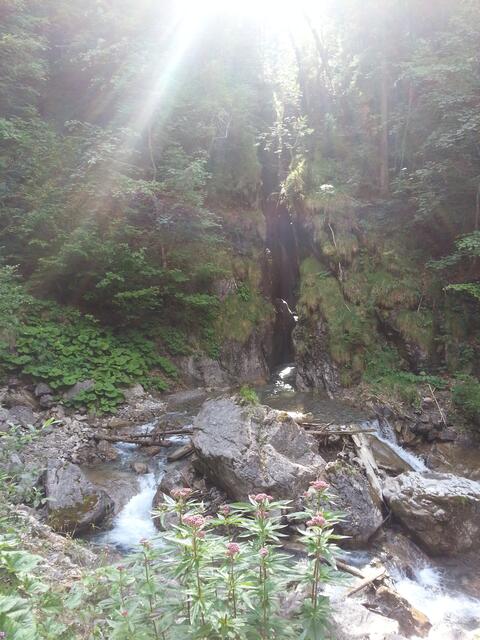 "Bei Gott allein kommt meine Seele zur Ruhe, von ihm kommt mir Hilfe. Nur er ist mein Fels, meine Hilfe, meine Burg, darum werde ich nicht wanken." (aus Psalm 62)