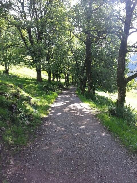 Das Leben - ein Weg durch Licht und Schatten.