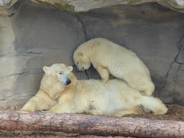 Boah, ist das anstrengend!