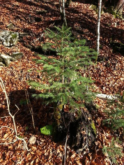Wachstum beginnt ganz klein. Es braucht Ruhe und Zeit.