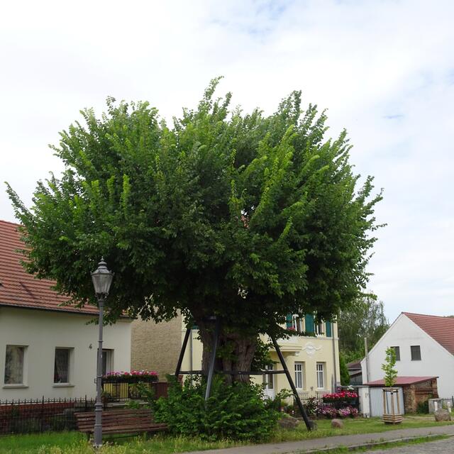 Dorfstraße