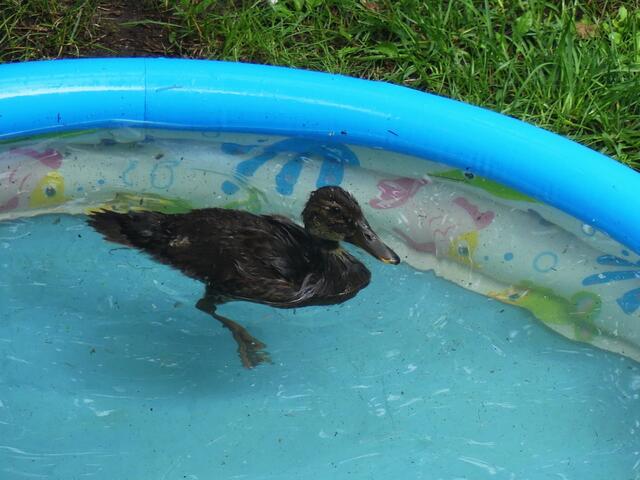 ganz für mich allein