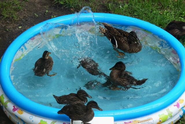 Mama schau nur - meine Wasserwelle